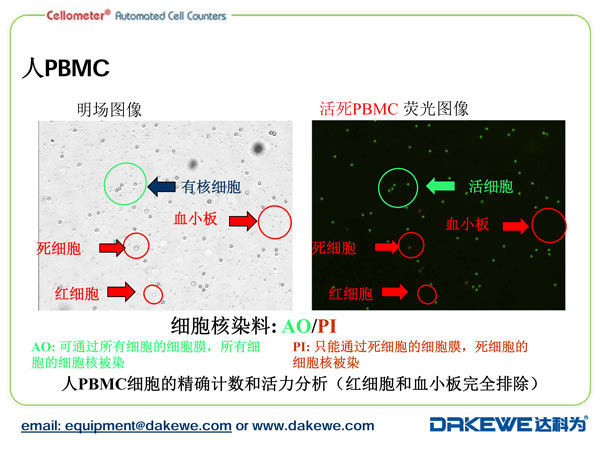 Auto2000細(xì)胞計數(shù)儀計數(shù)PBMC樣本案例